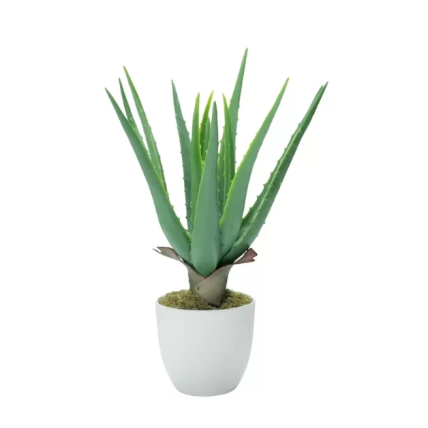 Artificial Natural Green Large Aloe for Home Decor