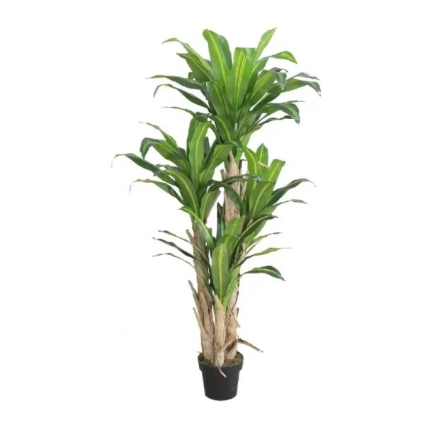 Artificial Natural Beautiful Dracaena Fragrance Plant for Home Decor