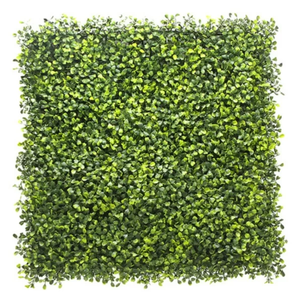 Vertical Artificial Lemony Boxwood Green Wall, For Indoor & Outdoor