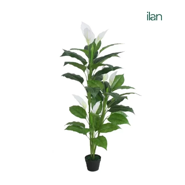 Artificial Natural Green Large Spathiphyllium for Home Decor