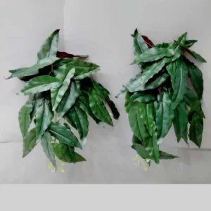 30 Ficus Leaves Long Falling Bunch For Indoor/Outdoor Decorative And Home Office Garden Decor