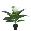 Artificial Natural Beautiful Artificial Anthurium Plant for Home Decor