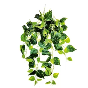 Real Touch Jumbo Money Plant Hanging Creeper For Indoor/Outdoor Decorative And Home Office Garden Decor