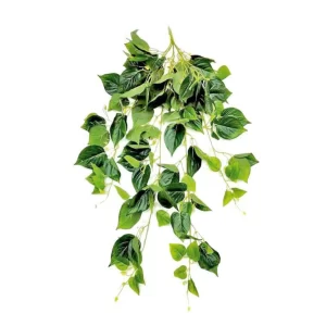 Real Touch Jumbo Ficus Hanging Creeper For Indoor/Outdoor Decorative And Home Office Garden Decor