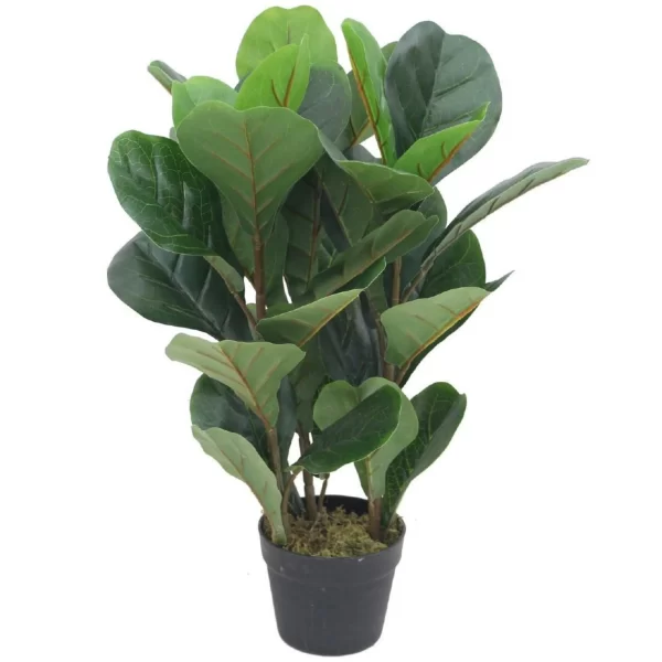 Artificial Natural Beautiful Artificial Fiddle Plant for Home Decor