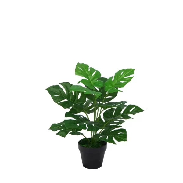 Artificial Natural Green Mini Monstera Home Decor