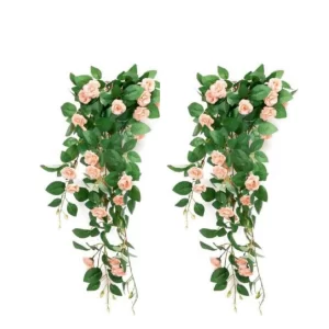 25 Peach Rose Hanging Creeper For Indoor/Outdoor Decorative And Home Office Garden Decor