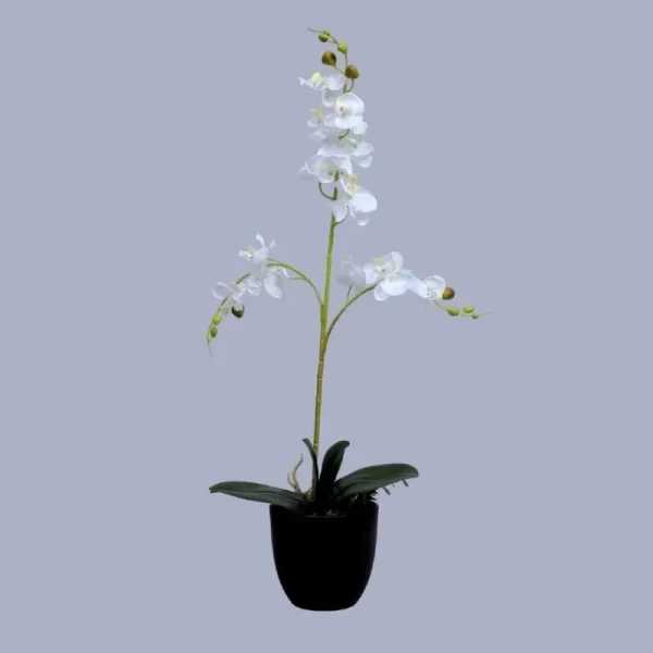 Artificial Natural Beautiful Artificial Orchid for Home Decor