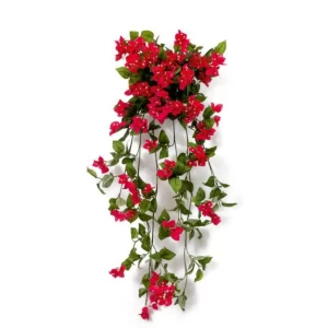 Frushia Pink Bogenvellia Hanging Creeper For Indoor/Outdoor Decorative And Home Office Garden Decor