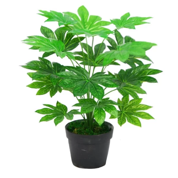 Artificial Natural Beautiful Artificial Japan Fatsia Plant for Home Decor