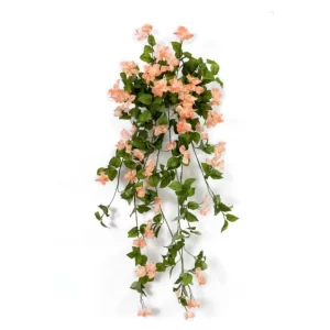 Peach Bogenvellia Hanging Creeper For Indoor/Outdoor Decorative And Home Office Garden Decor