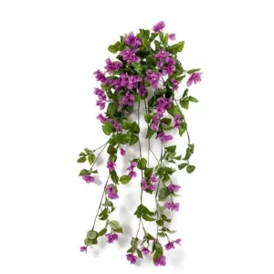 Purple Bogenvellia Hanging Creeper For Indoor/Outdoor Decorative And Home Office Garden Decor