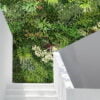Vertical Artificial Winter Rosetta B Green Wall, For Indoor & Outdoor - Image 2