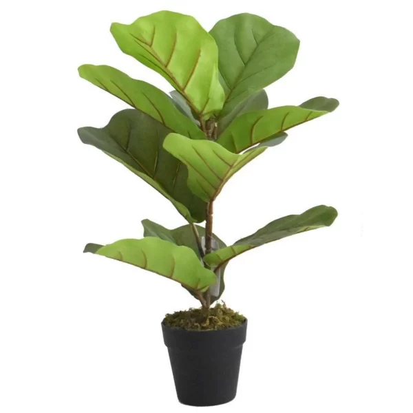 Artificial Natural Beautiful Artificial Fiddle Plant for Home Decor