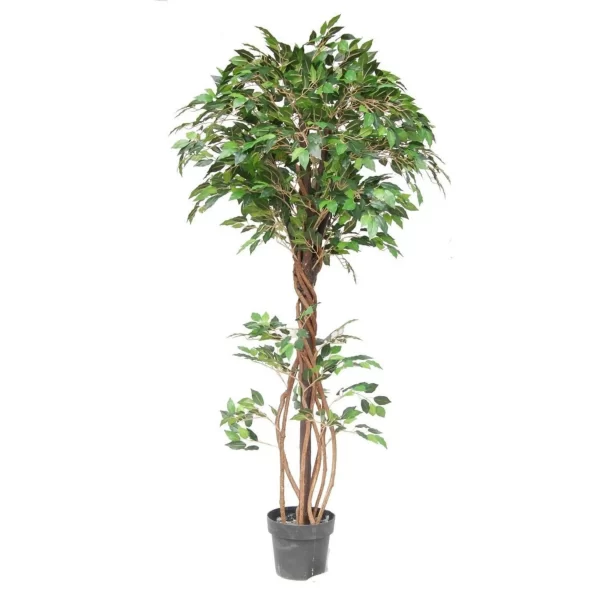 Artificial Natural Beautiful Artificial Mini Ficus Plant for Home Decor